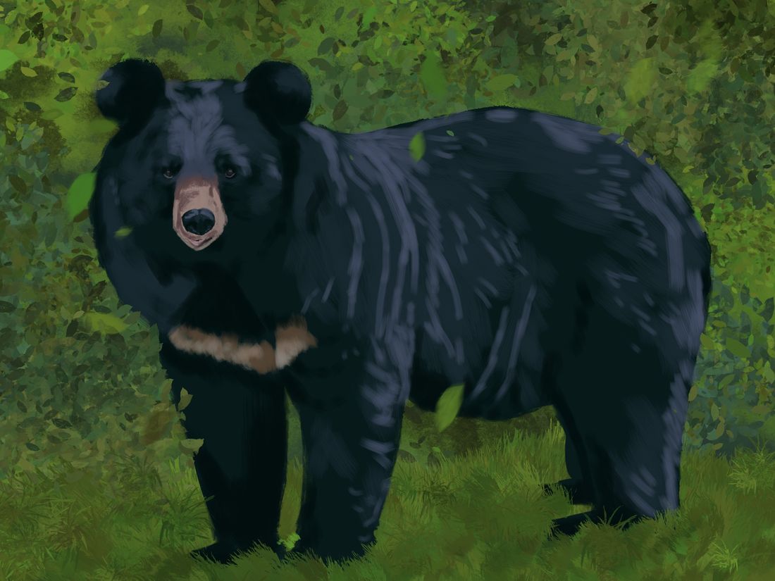 Body image for the article: Humans: The Bears’ Next Meal?